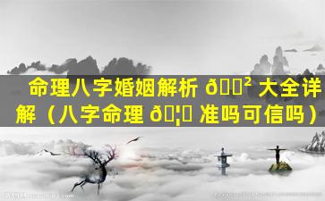 命理八字婚姻解析 🌲 大全详解（八字命理 🦟 准吗可信吗）